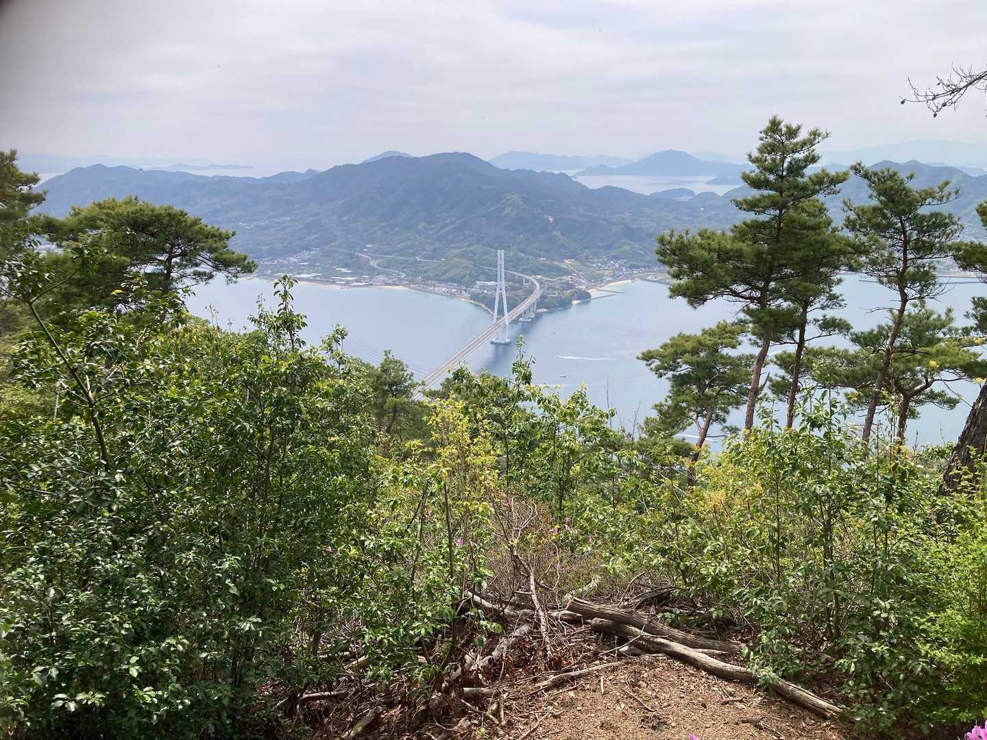 観音山 往復コースの写真