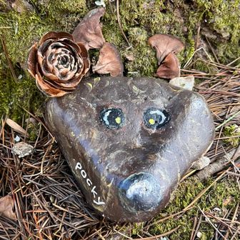 pockyに見つけたシダローズ飾って