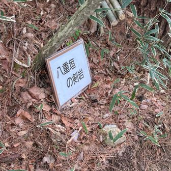 とんがってるのかな