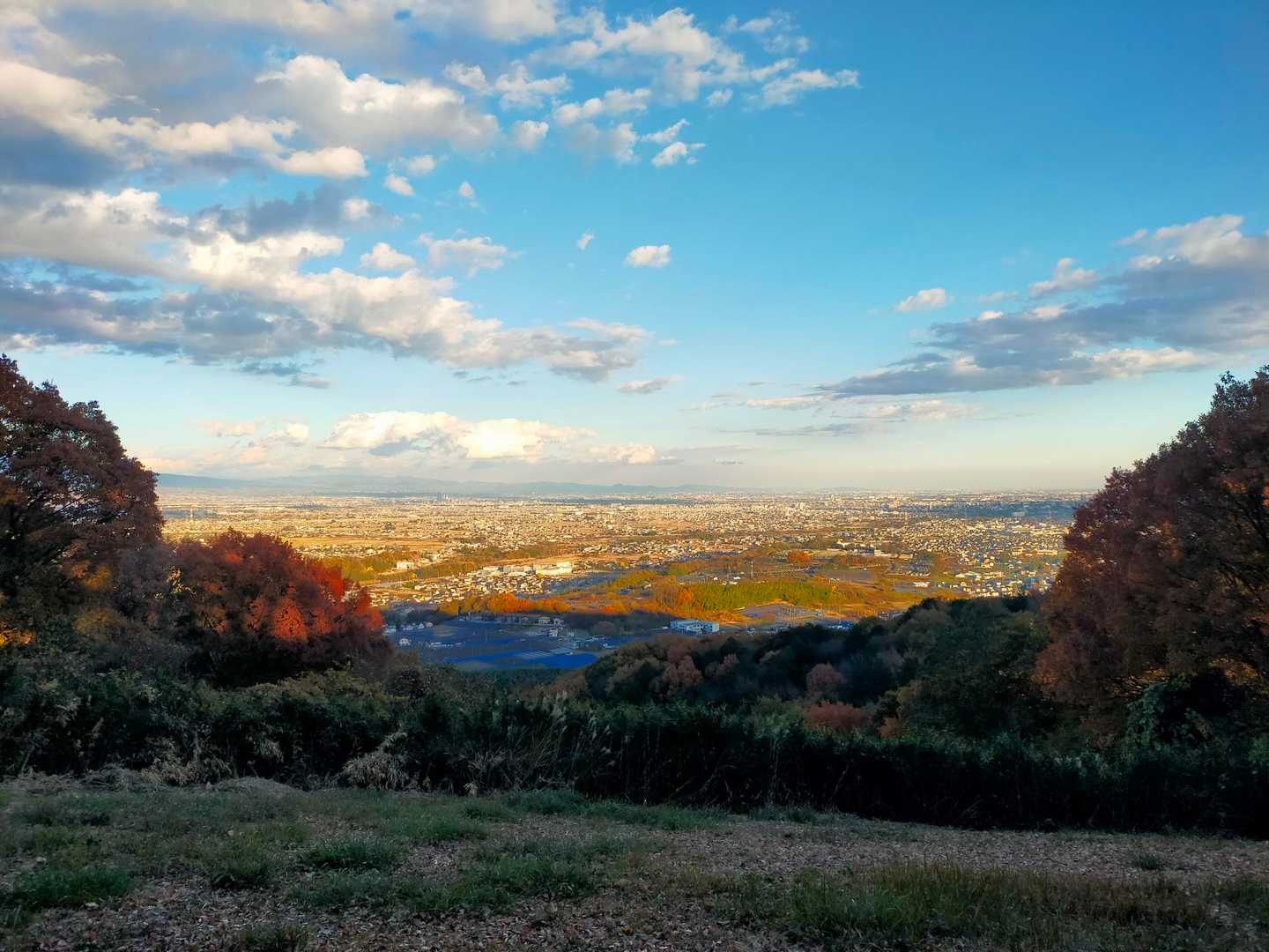 天神山 往復コースの写真