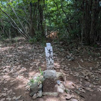 49回目の五月山