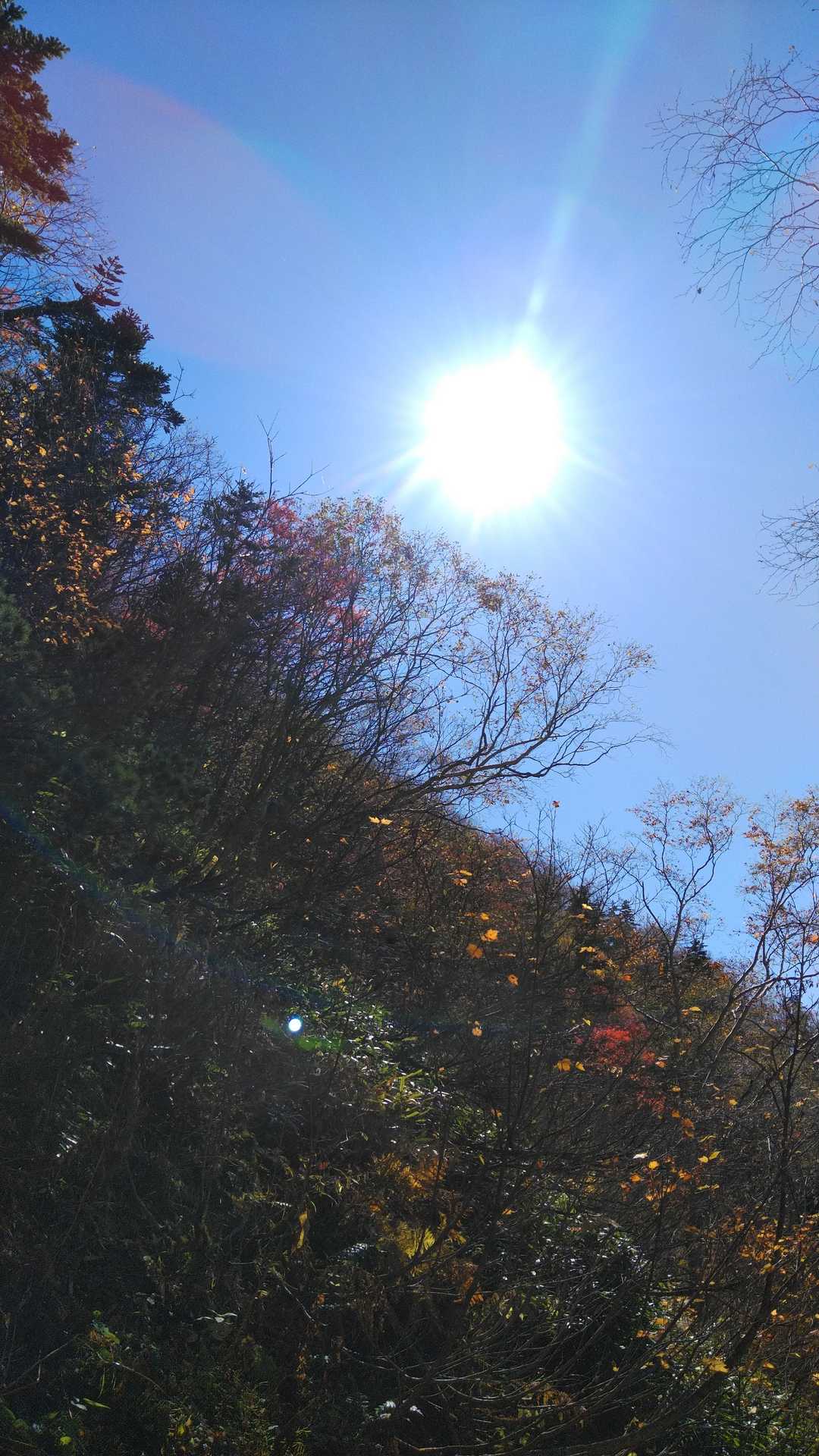 下山ね坂は
ゆっくりねー😅
ゆっくりだよ〰️😯