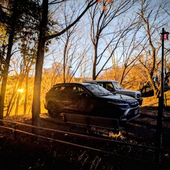 げざりました（ちょい明るいめ）