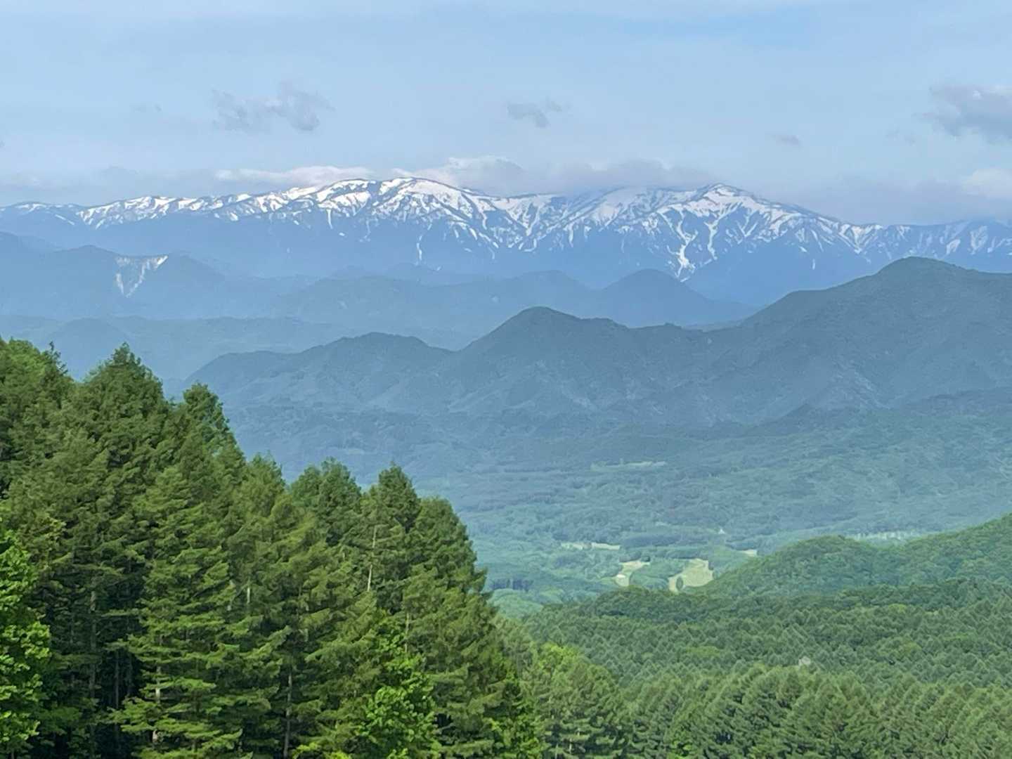 七ヶ岳 往復コースの写真