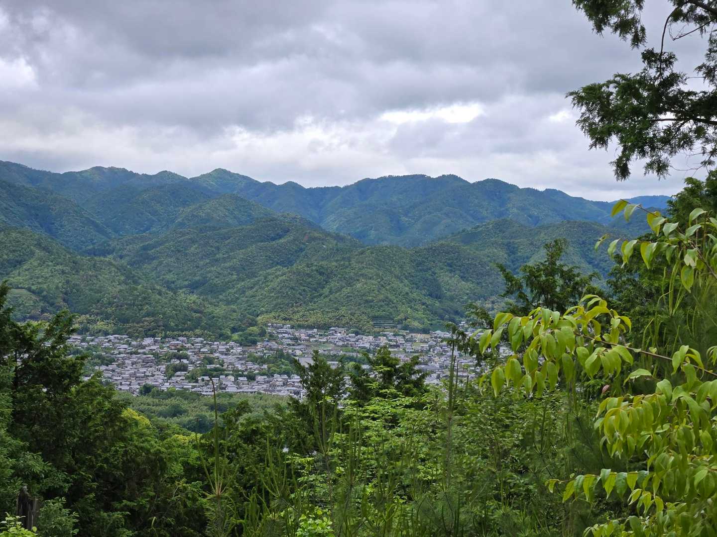 嵐山-烏ヶ岳-松尾山 往復コースの写真