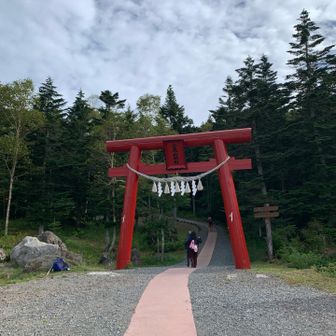 赤い鳥居⛩️からスタート▶️