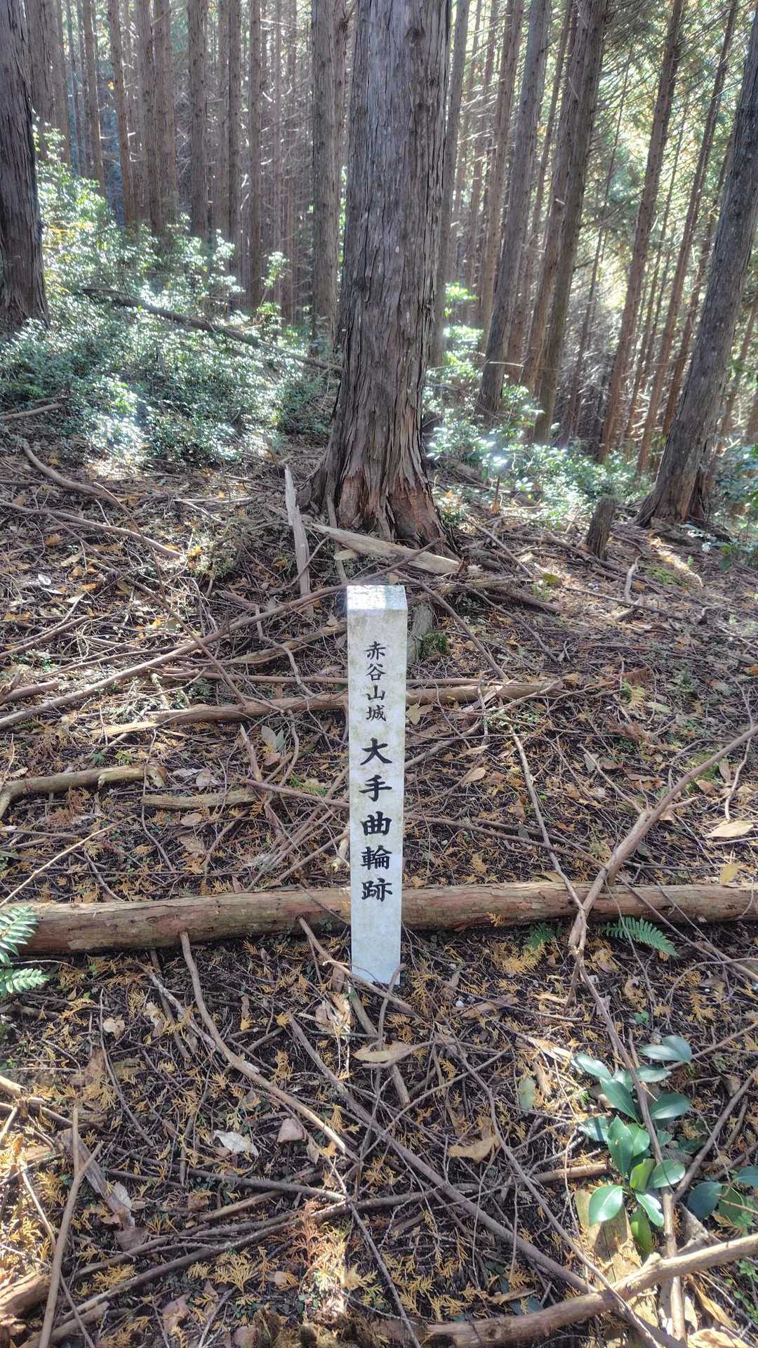 東殿山 周回コースの写真