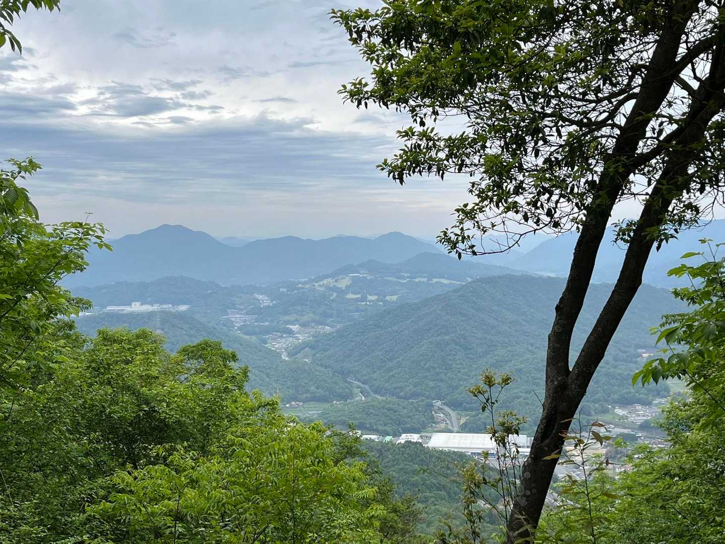 西条と反対側。何処でしょう？