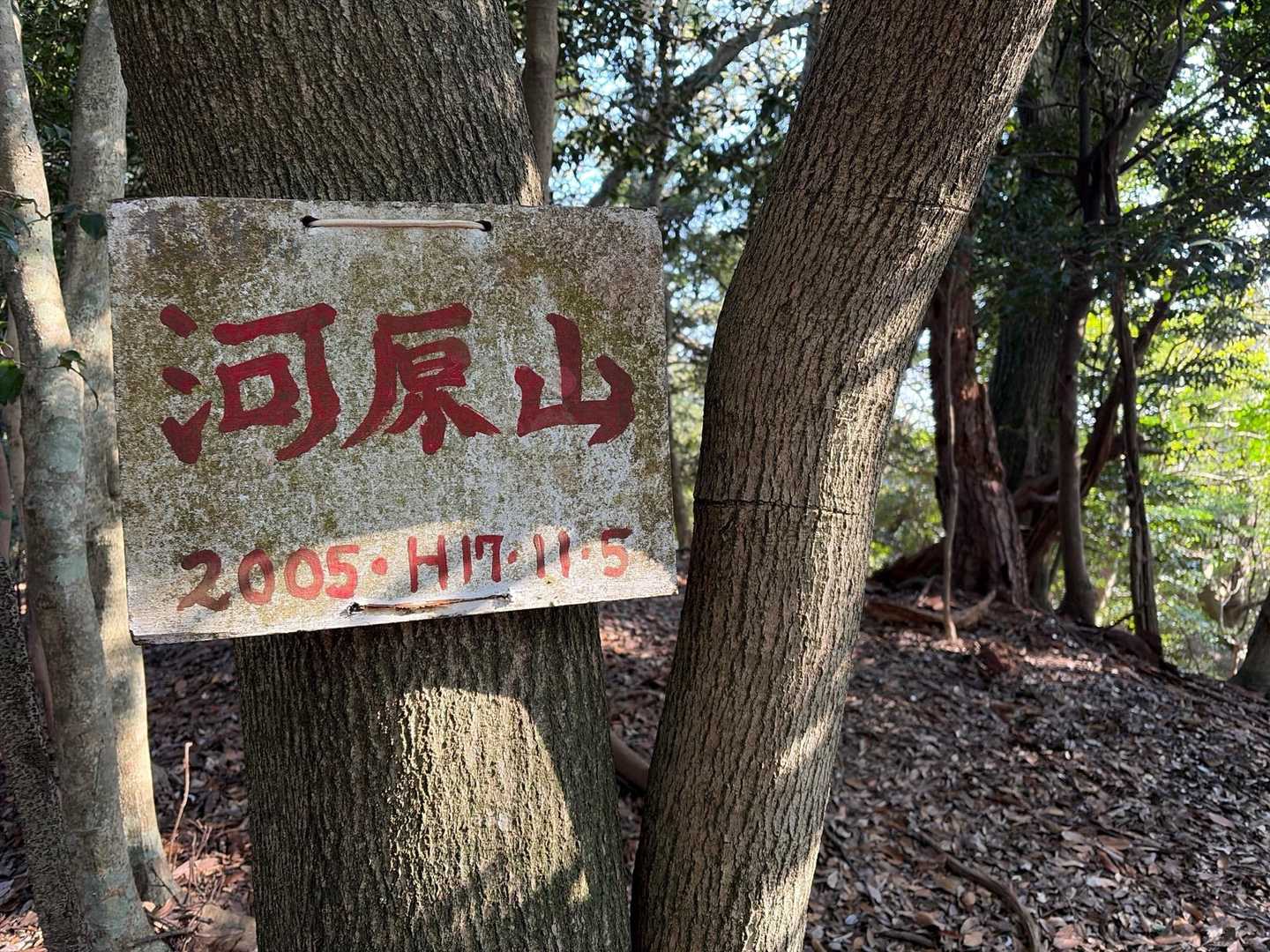 ５座目の山⛰️