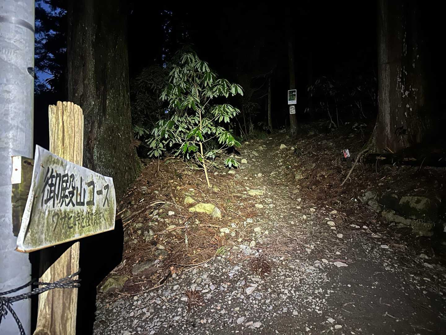 空は明るくなってますが登り始める樹林帯は真っ暗な感じで熊🐻は冬なので出没しないと思いますが怖々登って行きました🤣