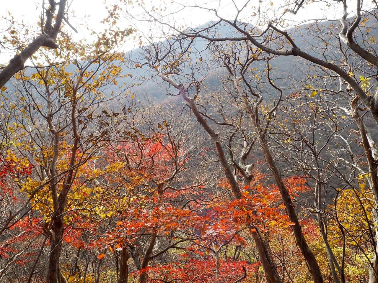 奥に大船山