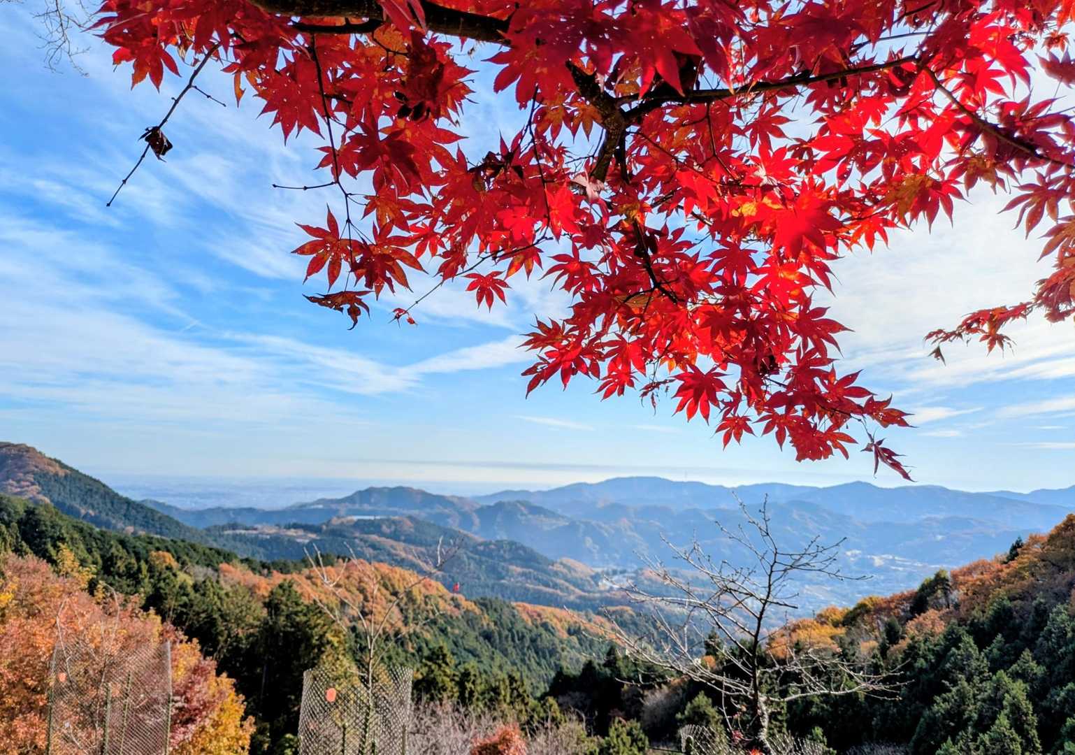 随所にビュースポット
最高のお山歩日和だよ ☀️