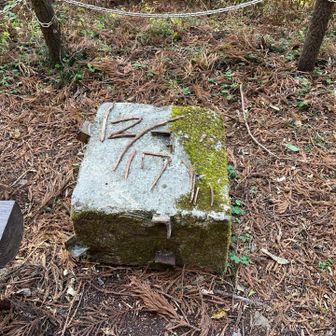 ん？　昨日は誰もきてないんかい🤣