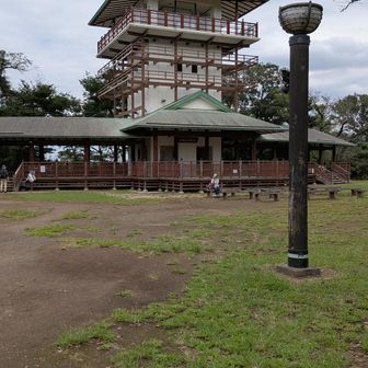 　展望台を振り返って、先へ進みます。
🌸お花見の名所　春にはソメイヨシノ他約５０本のサクラが咲きます。