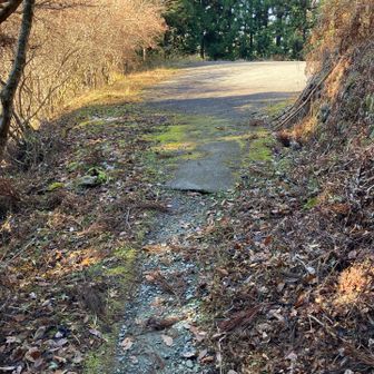 駐車場への出口です。