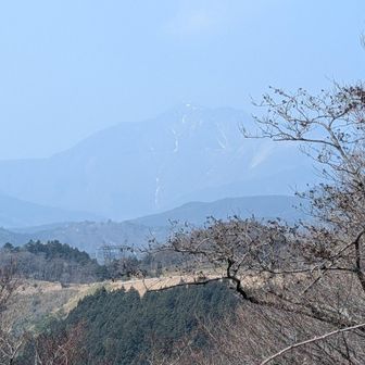 伊吹山。雪も少なくなりました。