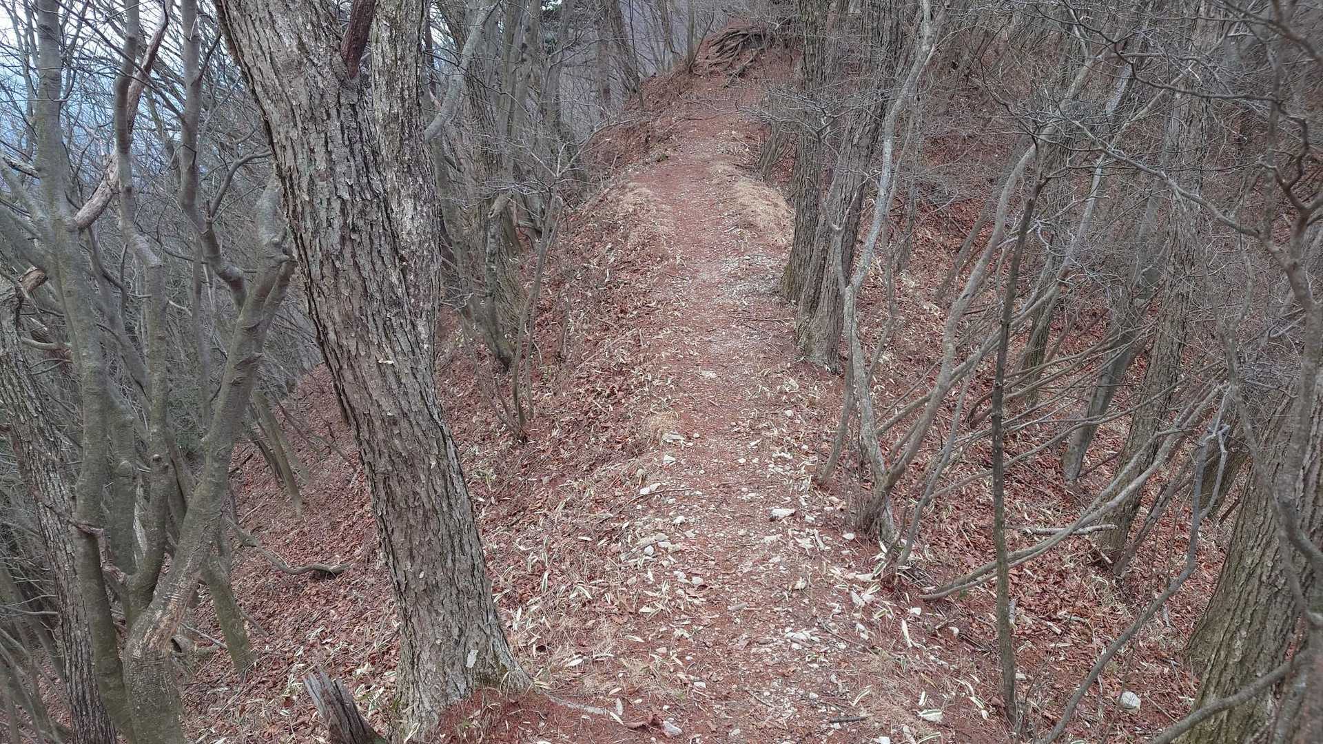 少し歩くと尾根道　いいですね～😀