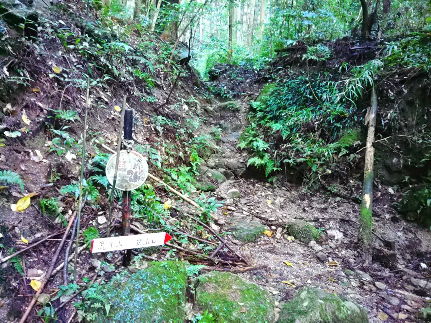 頑張って登りましょう