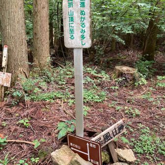 行きは左へ
帰りは右から降りて来た