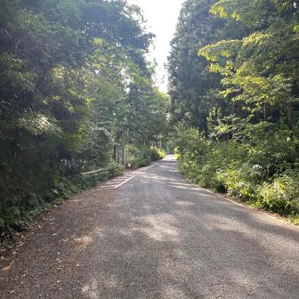 駐車場までロード歩き🚶‍♀️