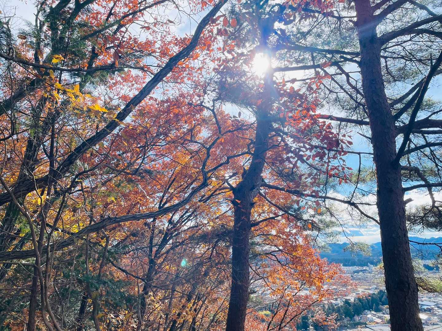 茶臼山-毘沙門山 往復コースの写真