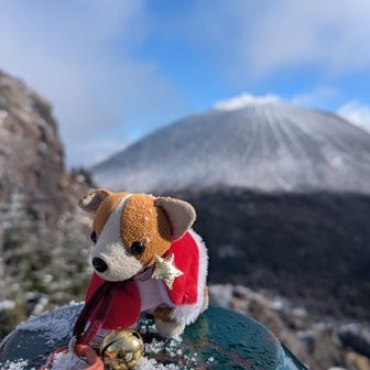 ちびさくらちゃんもクリスマス仕様です🧑‍🎄