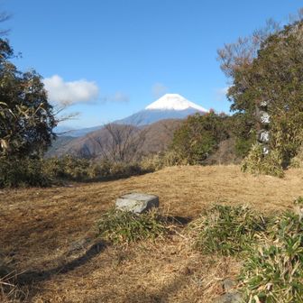 富士山と一等三角点【愛鷹山】