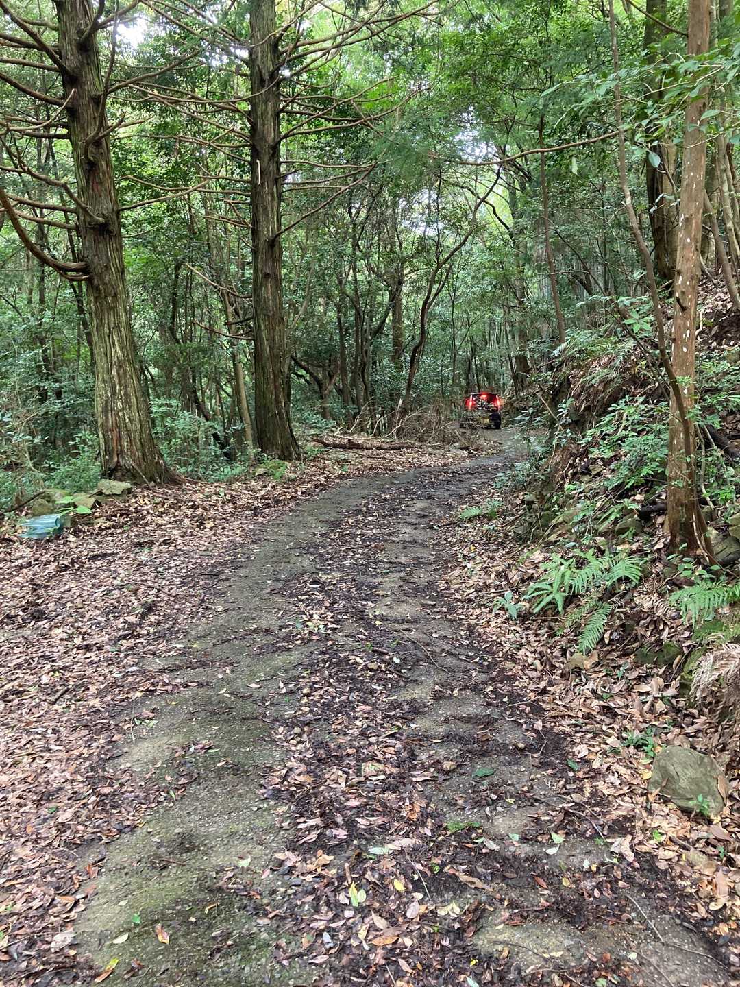 ホントに車が走ってるし。危ない。危ない。