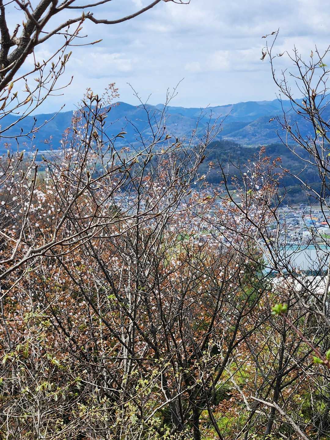 この後、走って登ってくるおじいさんがいました。80才ぐらいです。いやぁ～すごいですね。