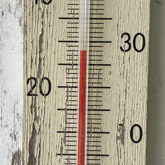 山頂に戻ってきました。気温28℃。そんなもん？　もっと高くない？って思えます。