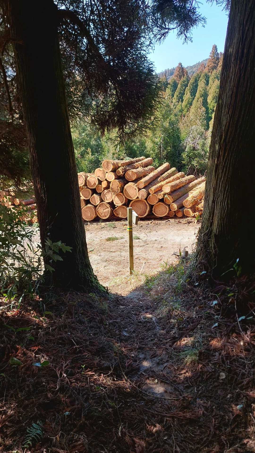 無事下山です🙆