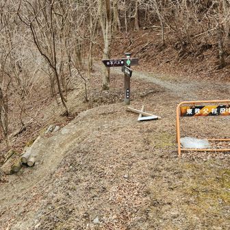 ここを左に入るらしい。