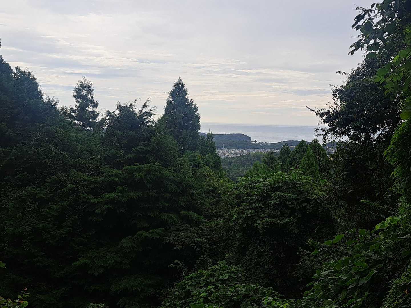 誰もいないのが寂し過ぎて音楽ガンガン鳴らしながら歌って下りてたら、ふいに登山者さんが登ってきてあわてて音楽OFF💦
不意打ち過ぎるぜお兄さんΣ( ˙꒳​˙  )
恥ずかしい…(/ω＼*)w
