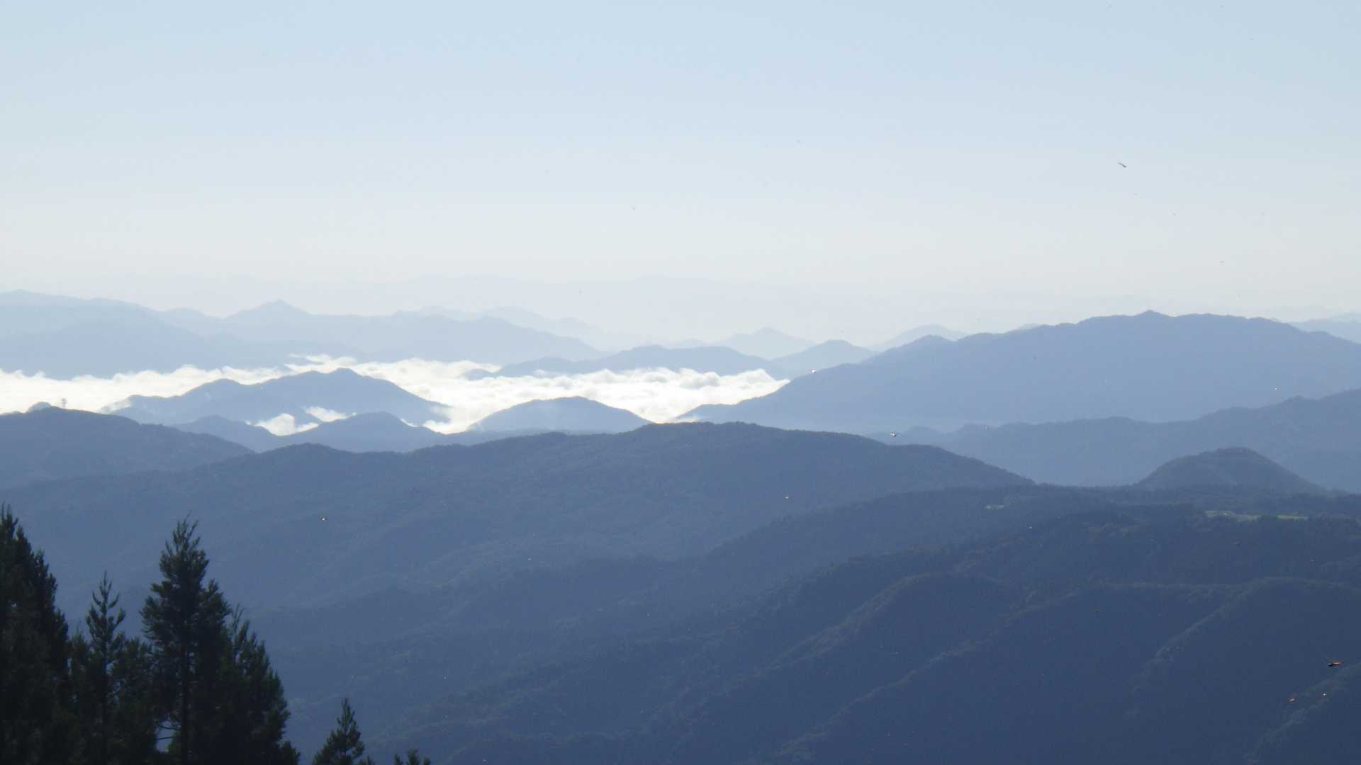東尾根登山口-氷ノ山-小代越-高丸山-鉢伏山-ハチ高原バス 周回コースの写真