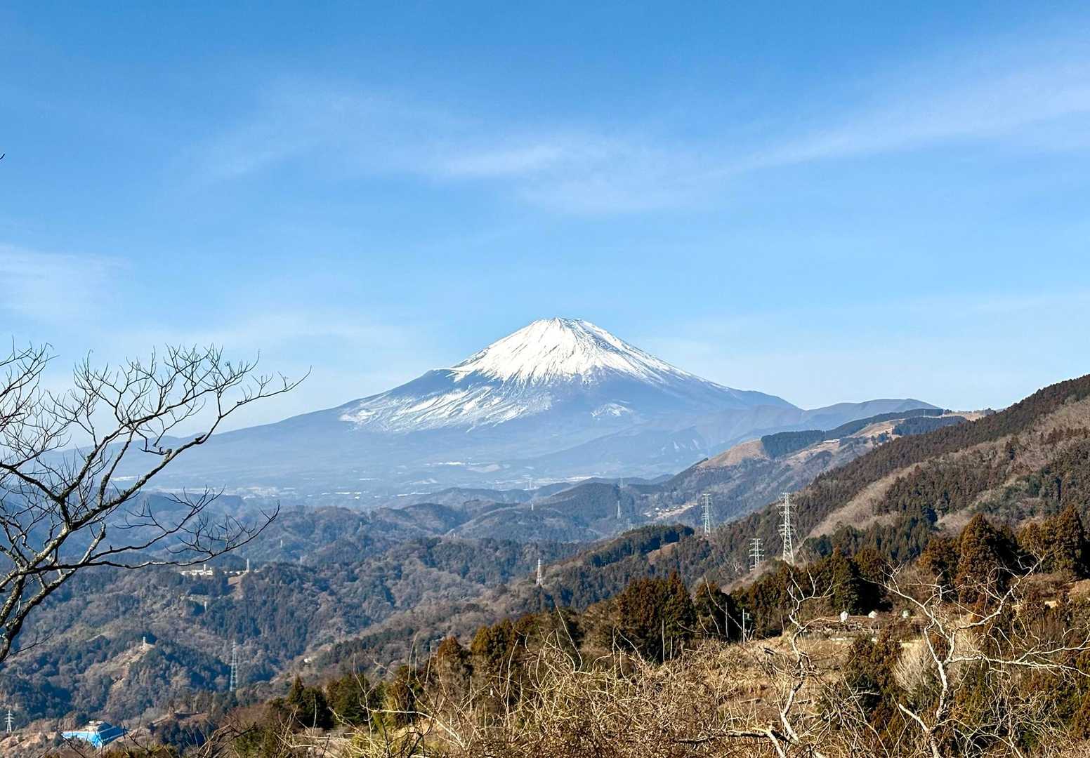 今日はよくお会いしますね✨