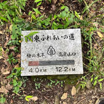 あと4㌔！