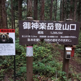 霧来沢（きりきざわ）登山口の看板。この辺は特に熊注意です（今までで、1番リアルな熊看板でした）