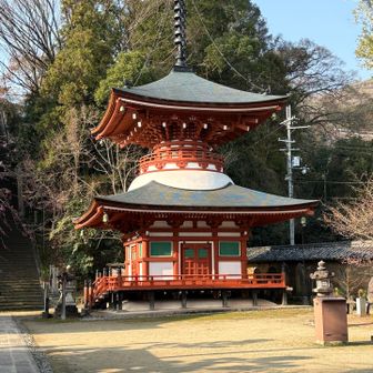 多宝塔
高野山の根本大塔にならった造りだそうで、確かにコンパクトにした感じ🧐