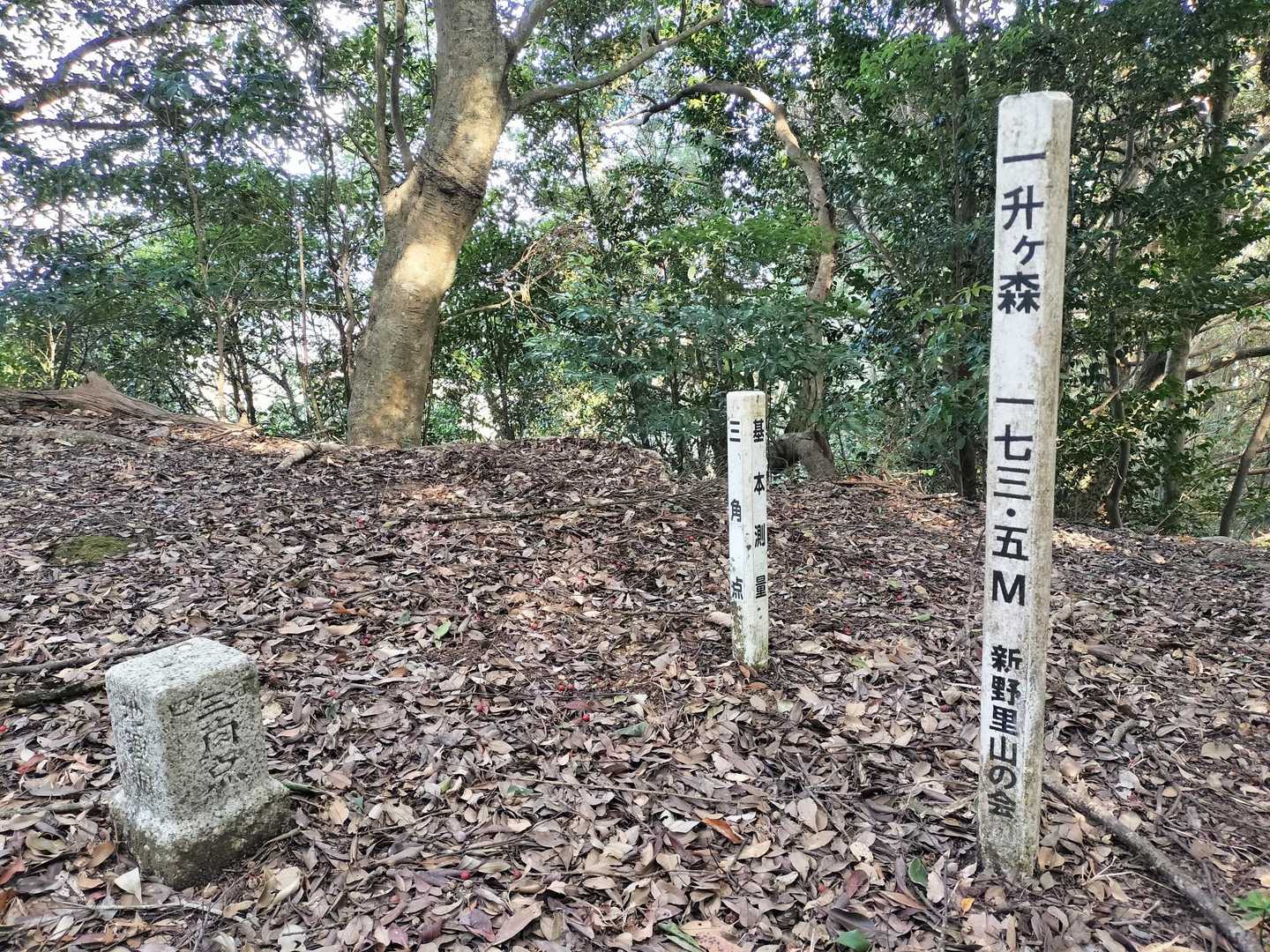 前は頂上の手前で引き返したので、登頂は初めて。

頂上は思った以上に広かったです。
麓に駐車場、頂上にはベンチでもあれば山歩に丁度良いんだけどなぁ。
