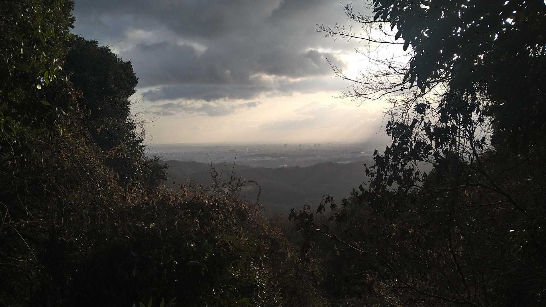 景色は微妙
