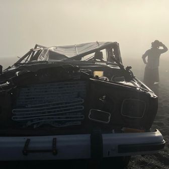 💘 森の妖精💘