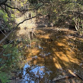 池みたいなところを