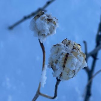 青年小屋あたりでひと休み