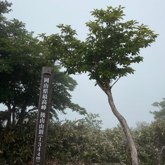 山頂着いたよ🫥見えるのは写真の通り😭
岡山県最高峰…兵庫は3位そうです
山友は丁寧に教えてくれました😻