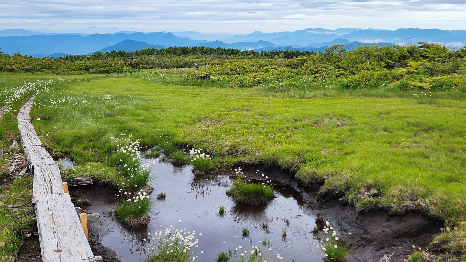 猿倉登山口-田代山 往復コースの写真