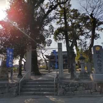 坂本八幡宮⛩️