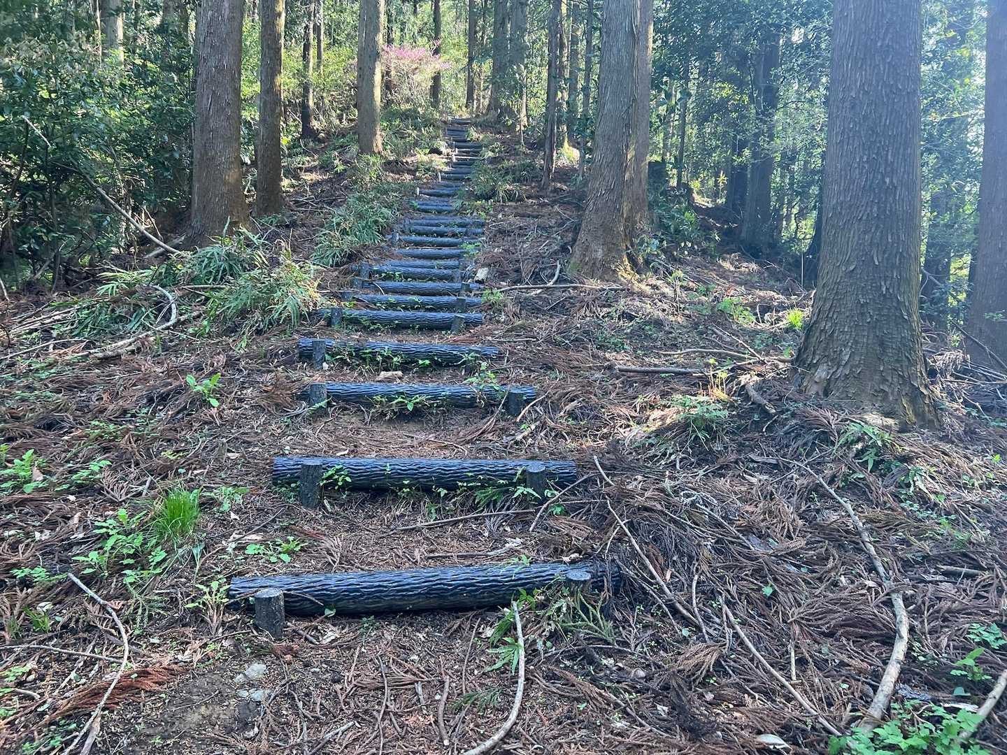 確かに階段が長く続く。