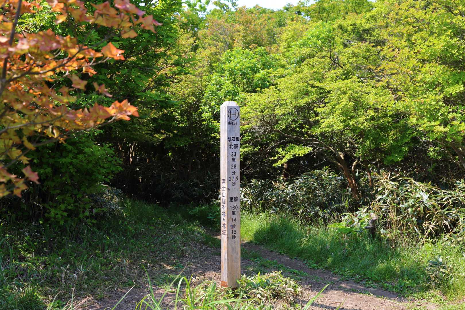 井原山・雷山縦走 | 脊振山系屈指の気持ちよく歩ける稜線の写真