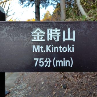 金時山山頂までの標高差は凡そ500m💡途中、明神ヶ岳への分岐（外輪稜線）まではトラバースと九十九折の急登だが、その先の残り600mがキツイ💦