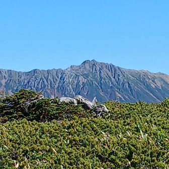 そしてこちらは水晶岳かな？